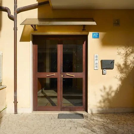 Mikasa Balduina * Roma